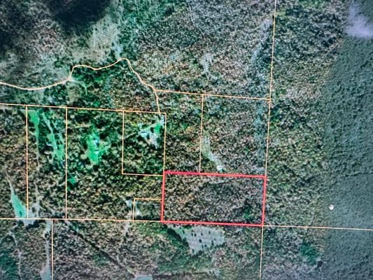 12 COUNTY RD 434, BIRCH TREE, MO 65438 - Image c33d1d6cb96e38581a74ec2257fb6e55/4290601030
