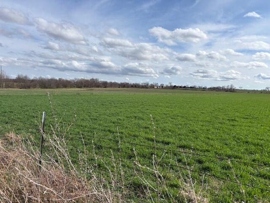LAWRENCE 1220, MARIONVILLE, MO 65705 - Image c36ee0bd291ad4329a84226c71be8dce/2283826216