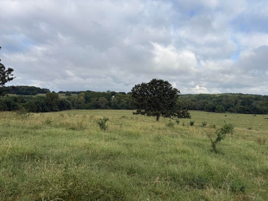 S FARM RD 55, REPUBLIC, MO 65738 - Image c44a1a0217fd8a0ed2544a349a8e7d38/1736617577
