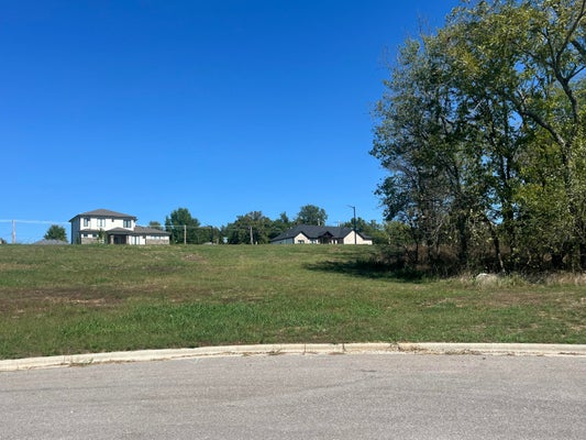 748 S REAGHAN LN, REPUBLIC, MO 65738 - Image c490d8fff5cc8a067ff20538bb5252c6/2400466084