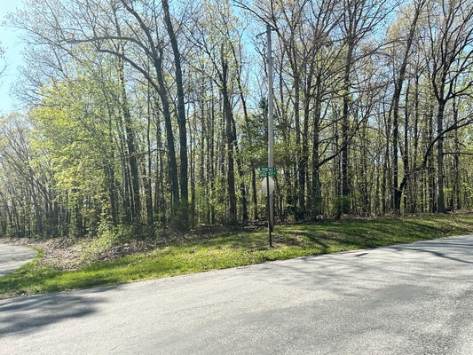 L42A & 43A EAGLECREST ROAD, CAPE FAIR, MO 65624 - Image c5b3783d15fa9004c576e51244f712bc/411513362