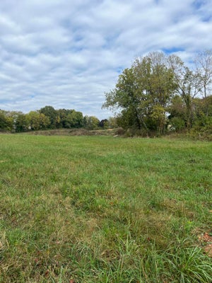 000 LUNEY DRIVE, CASSVILLE, MO 65625 - Image c5c03aadb7bd5ab5a9b763a8e862d00d/1154206005