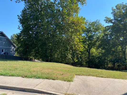 6082 S THORNWOOD CIR, BATTLEFIELD, MO 65619 - Image c6102e69ae4dcacbee2eb4b53afc2b2a/2301129096