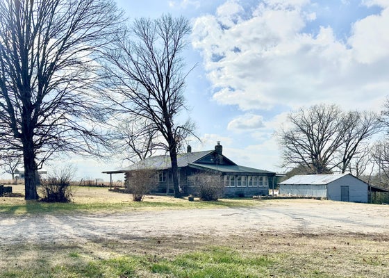 7565 STATE HIGHWAY 176, WALNUT SHADE, MO 65771 - Image c68845d706d7608c359e38a3b0b8043e/970519189