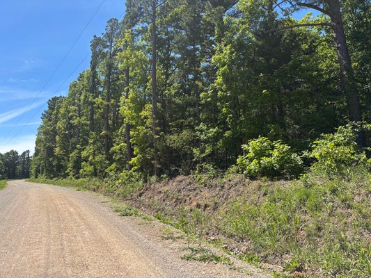 TBD COUNTY ROAD 154, BRIXEY, MO 65618 - Image c9ccf5075c39cf30f8d76bb945099c6c/2902357317