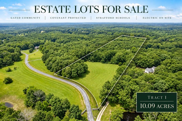 TRACT 1 N FARM ROAD 245, STRAFFORD, MO 65757 - Image cccad1a58ec630d45a5e86f69e563464/1394237809