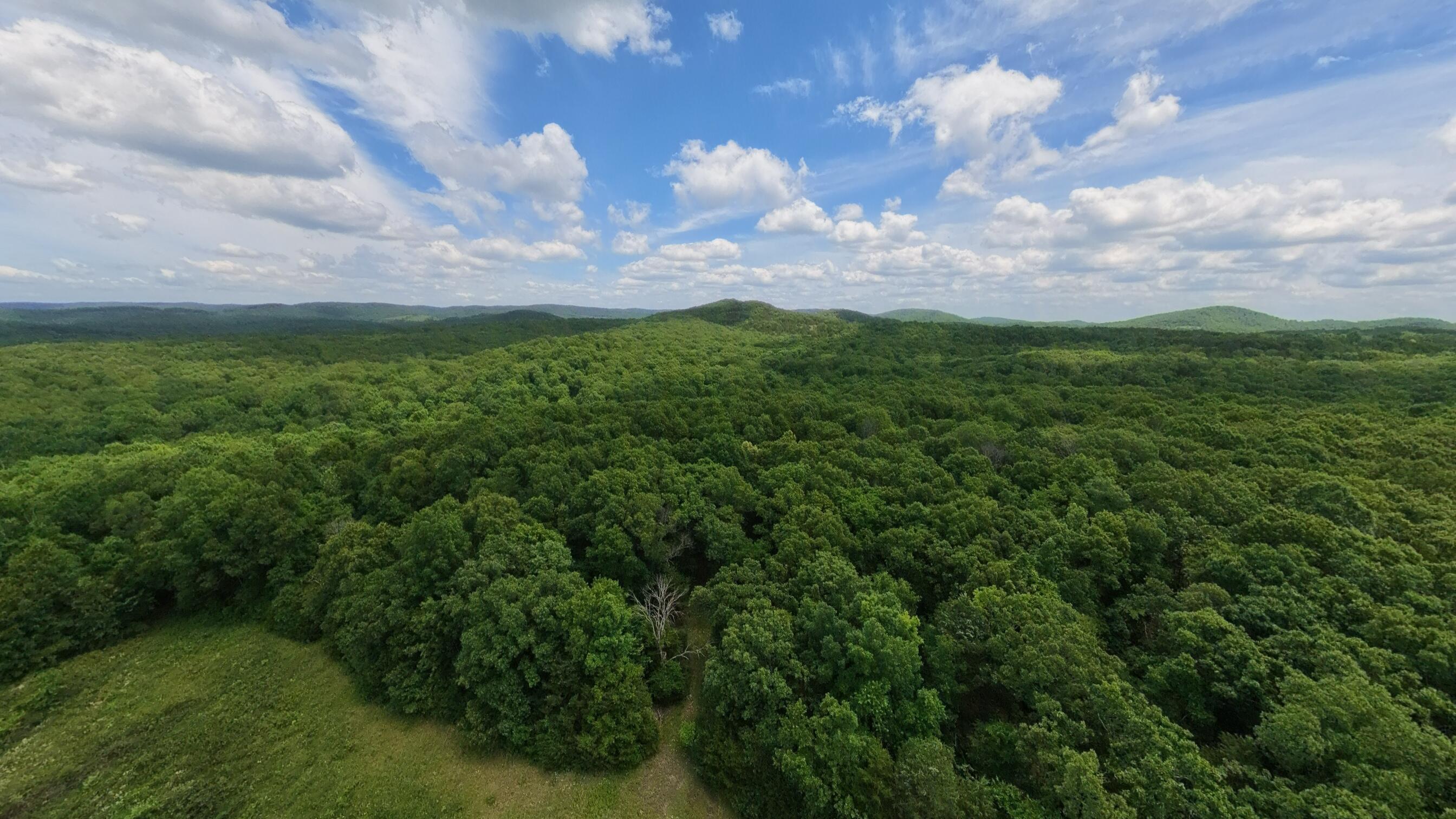 298 Eaton Run