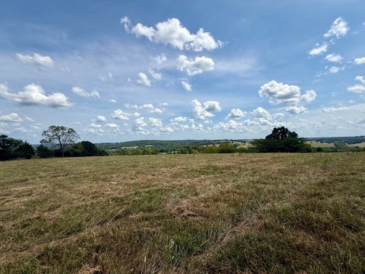 HIGHWAY M, CABOOL, MO 65689 - Image cd13d6212a1c771dde00a9bfe4cc13e2/1905639477