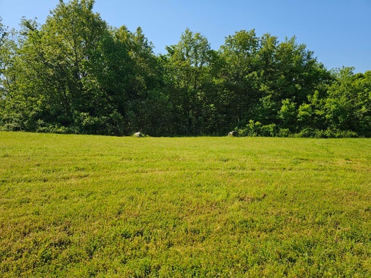 LOT 10 FOX HAVEN DRIVE, MT VERNON, MO 65712 - Image cd18d372bc7960d444b09e7689c70ffa/2708760373