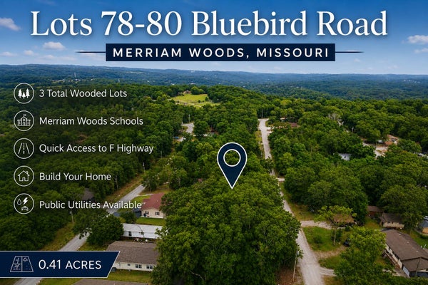 BLUEBIRD RD, ROCKAWAY BEACH, MO 65740 - Image cd262d50158aa04d9ffabef0634361fa/1367649158