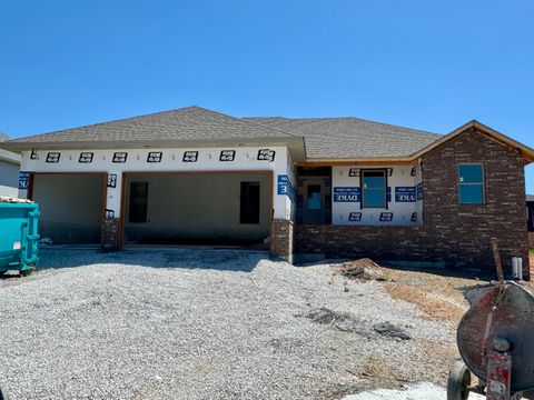 Photo of 2608 W Pigeon Drive, Ozark, MO 65721 (MLS # 60323949)