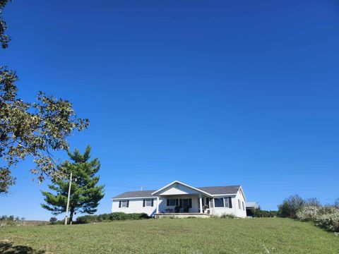 Photo of 4312 County Line Road Road, Mountain Grove, MO 65711 (MLS # 60307166)