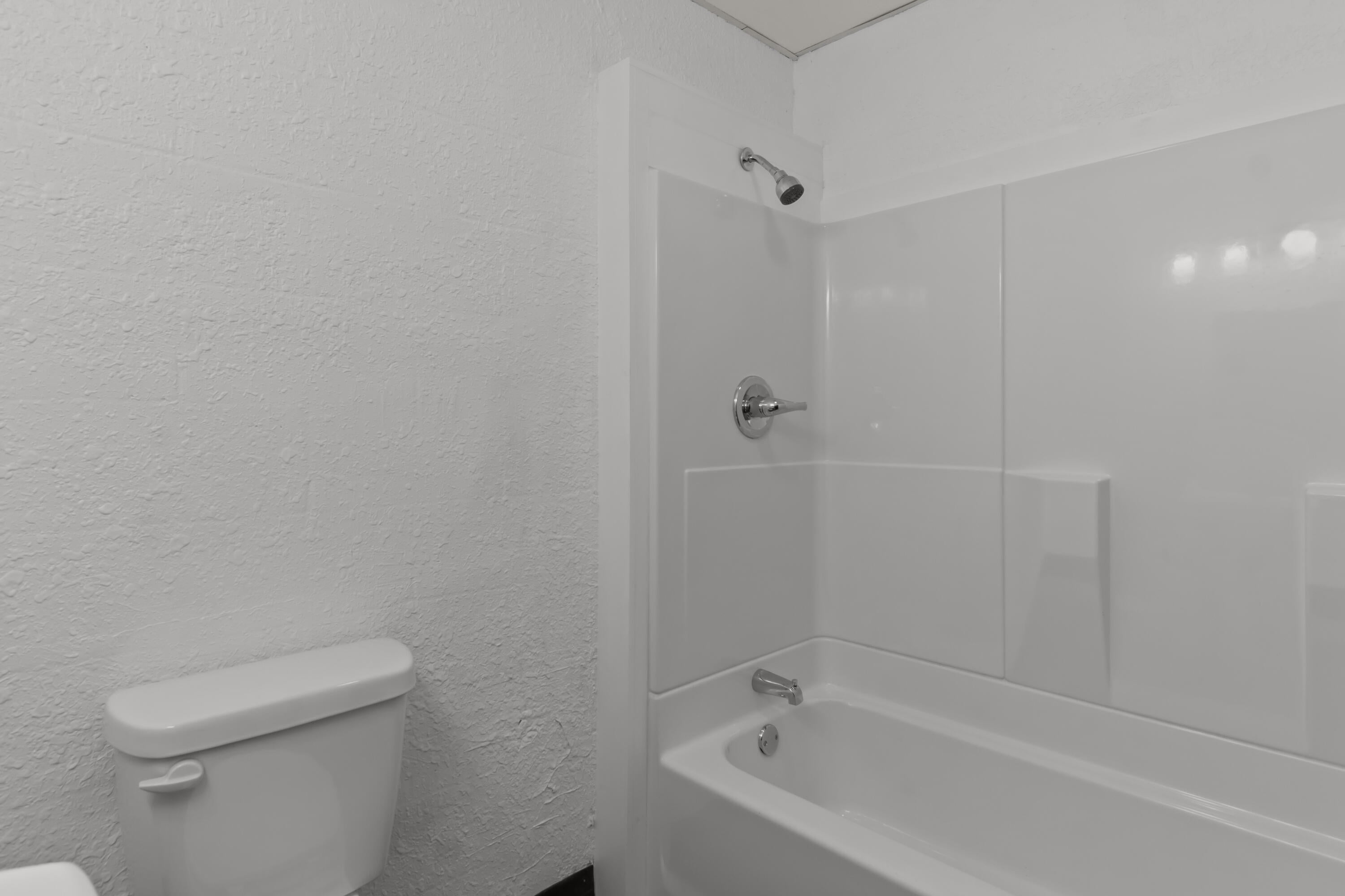 164 Forsyth Taneyville Road 20