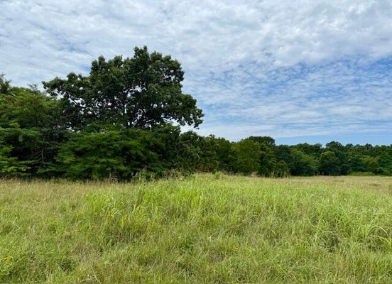 159 STATE HWY W, AVA, MO 65608 - Image d03803f005a1e3f935a11a130f0e2a94/1918045950