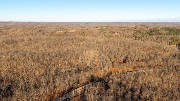 101 N HIGHWAY 137, RAYMONDVILLE, MO 65555 - Image d0c6a06f26accb972c5bd9163d04da7b/3649842107