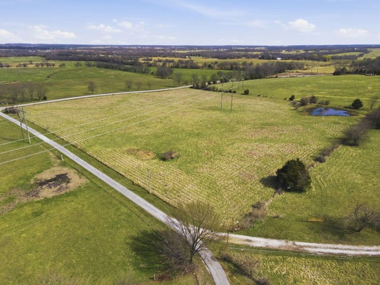 S POND WILLOW LN, REPUBLIC, MO 65738 - Image d174d6a5faaa5d694c9431530d3719e9/2032562434