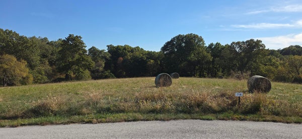 LOT 7 DAYBRAKE RIDGE ESTATES # PHASE 2, NIXA, MO 65714 - Image d37d67b8630116aca43f09d8cd1b1fab/4102769905