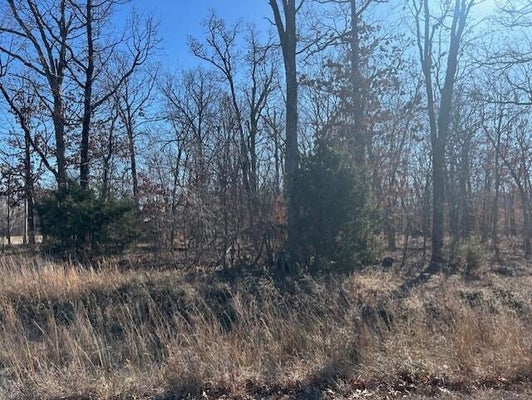 JENNY LN, GRANBY, MO 64844 - Image d3efb3cc4014ddcee94ab62fc2ea7612/536064935