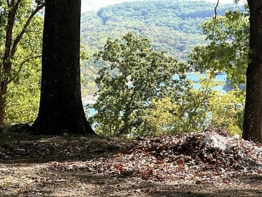 000 LILLIAN LANE, KIMBERLING CITY, MO 65686 - Image d3f708a0d62e3097004ea574086bf8e4/1096039684