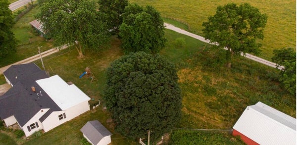 5579 HIGHWAY AB, FAIR GROVE, MO 65648 - Image d4b15f24cffe7fa903c40ae453fe81a8/702118001