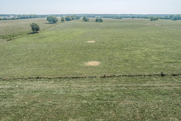 N FARM RD 175, SPRINGFIELD, MO 65803 - Image d54afb5032308ffdb0406eacb1f3ff87/4155881573