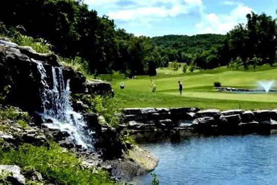 1311 STONEYCREEK LN, BRANSON WEST, MO 65737 - Image d5511b2c8f6a27c0774e1ff58c55e1b5/1723213650
