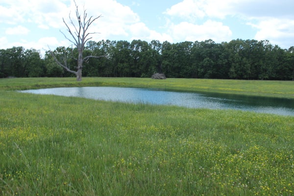 106 W HWY, THAYER, MO 65791 - Image d5a96147cdab6a716888dd0f146b07cb/1823005326