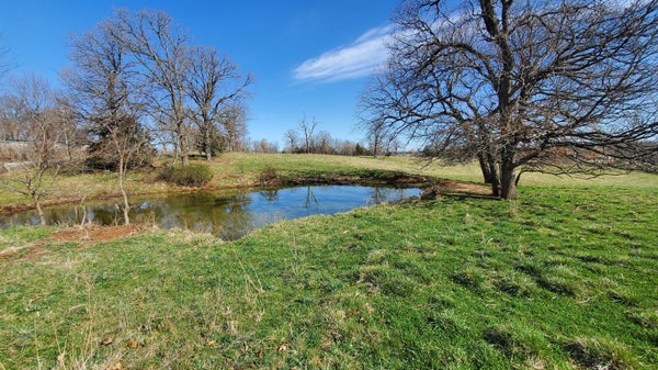 LOT 1 N FARM ROAD 61, WALNUT GROVE, MO 65770 - Image d6159031d3be098a586b69ae8edecead/781044593