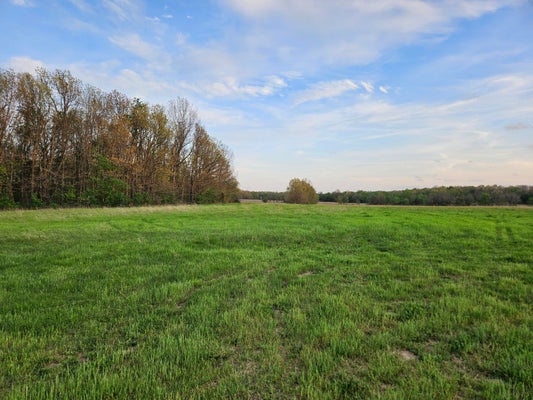 LAWRENCE 2210, MONETT, MO 65708 - Image d693aad362412dceec1ce74d7b91bf3e/2298259187