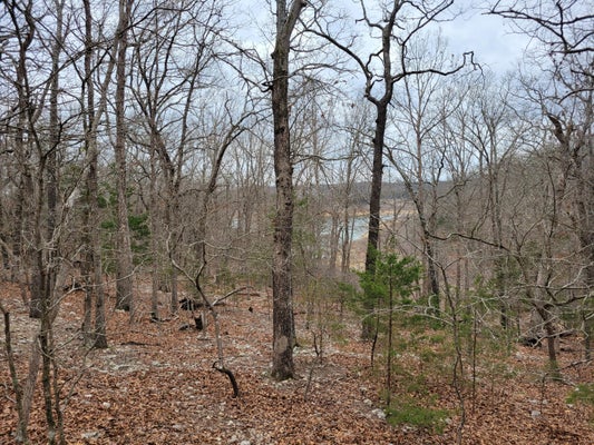 000 LOST MINE ROAD, THEODOSIA, MO 65761 - Image d6aadbed06fe952b6e161fd9a3a0860c/3334523366
