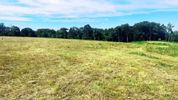 TBD FARM ROAD 1040, EXETER, MO 65647 - Image d73b6ebae56137e53d14f450050c7c85/811430701