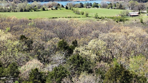 ADDRESS PRIVATE, GOLDEN, MO 65658 - Image d7de401bd92ff47b2ee015ee88b01506/888582611