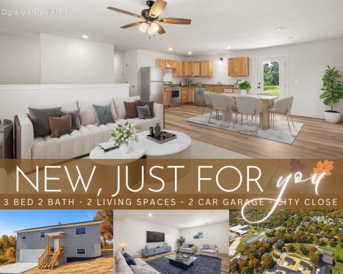 318 HAWTHORNE ST, HOLLISTER, MO 65672 - Image d807a9242ce21b110465175e79d83e45/2178167697