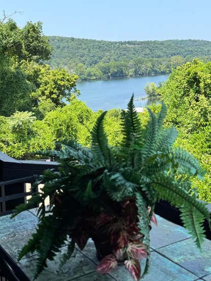 150 Sunken Forest Dr # 252 – Investment Home