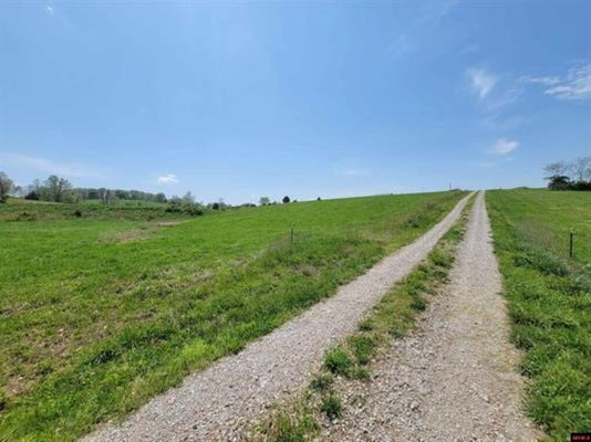542 COUNTY RD 138, WASOLA, MO 65773 - Image d9aa5d9c6fbfed530937dfaf4eb4dc1c/2695156895