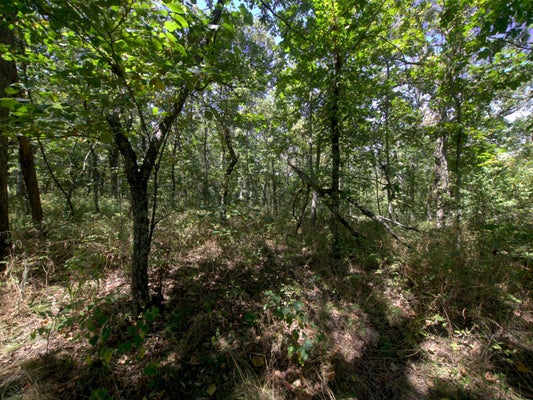 3 SIMPSON RD, URBANA, MO 65767 - Image d9c82ab56e293bec5ca85b422cca4bd1/4281982200