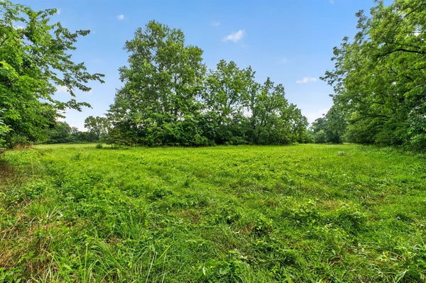N FARM RD 53, WALNUT GROVE, MO 65770 - Image d9f5763db434a4fdd4e18f5dae5a39a3/3994483982