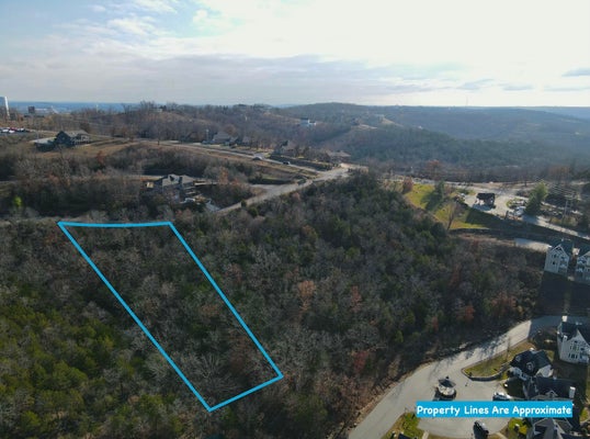 LOT 36 CANYON ESTATES, BRANSON, MO 65616 - Image dae87ad87088d826ab8a368cfed4a9f5/1311223625