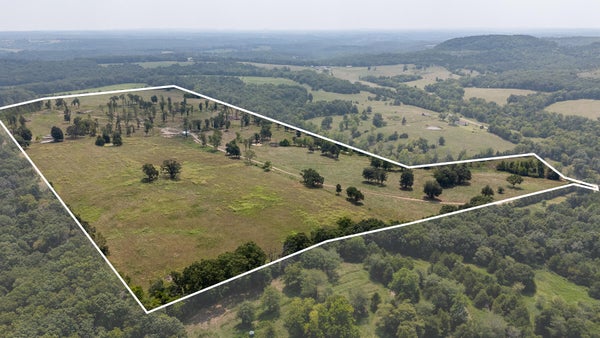 COUNTY RD A-425, AVA, MO 65608 - Image daf1fdb315d992dfe6422905eb0ec831/657959617