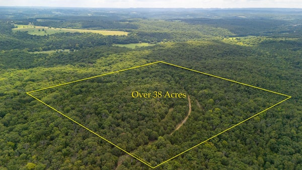 MERRITT RD, CHADWICK, MO 65629 - Image db2aa8a640e05e0afe82d55d2b1ac4e6/3071946820