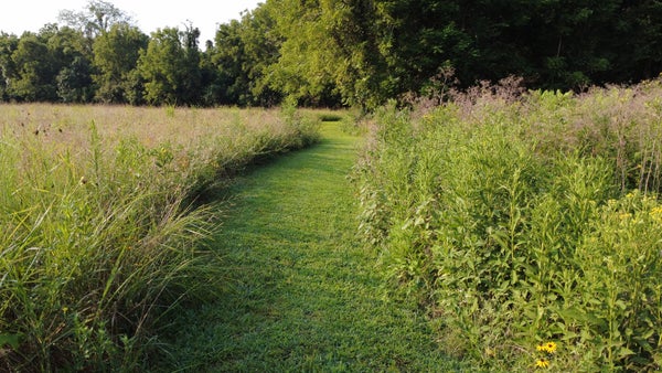 000 N FARM RD 69, WALNUT GROVE, MO 65770 - Image dbd2fac51f4ce67c2a0a4e6bc013435c/1116469391