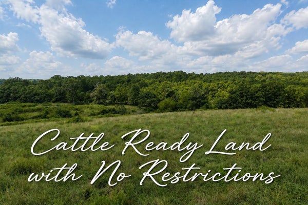 TBD STATE HIGHWAY E, HARTVILLE, MO 65667 - Image dbef56eba230b9b591d491740c7a3bba/3902799275
