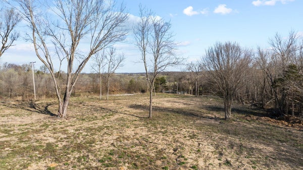 000 E SCHOOL STREET, EVERTON, MO 65646 - Image dbf2ca855bbad29ac5d7a08ebb2ba992/3667249913