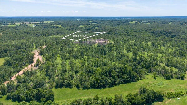 66 ADAMS RD, GOODMAN, MO 64843 - Image dc0b57784023908c7a40c93e9ea003ae/998947710
