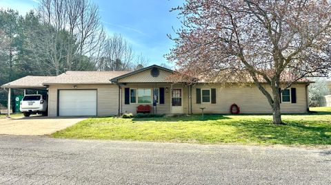 Photo of 508 Monroe Street, Thayer, MO 65791 (MLS # 60324248)