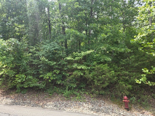 LOT 13 SILVER CLIFF WAY, BRANSON WEST, MO 65737 - Image dce514b9c4020b23e9536023d8ec605f/3066969876