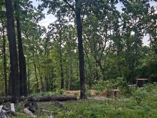 74 JEFFERY LN, CAPE FAIR, MO 65624 - Image dd882c29fa105bbc4da6d6a27c196616/2419046893