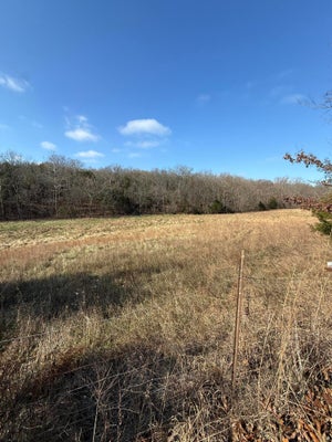 VARVEL RD, WILLOW SPRINGS, MO 65793 - Image dd982c3fd855d43bb24a98df35ee648f/3553037105