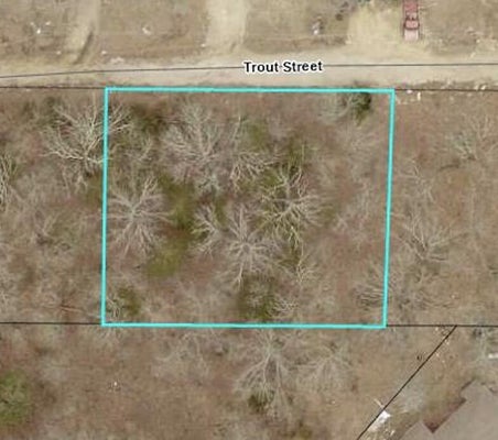 140 TROUT RD, KISSEE MILLS, MO 65680 - Image de07a38c3acd366bc360f2f518e5da94/3208457595