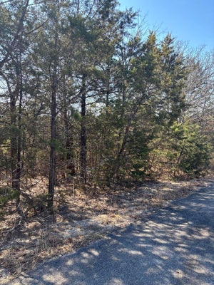 ADDRESS PRIVATE, SHELL KNOB, MO 65747 - Image de67f8752e541b6e74094990a2e481ac/1834470665